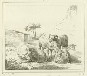 Moutons dans un paysage