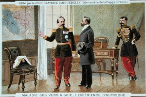 Maladie du ver à soie en Autriche, carte publicitaire pour la Chocolaterie d