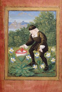Miniature de Pierre Sala déposant 