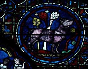 Taureau, de la fenêtre du zodiaque