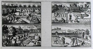 Entretenir un jardin, de 