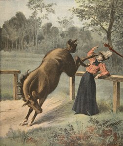 Coup terrible, illustration du Petit Journal : Supplément illustré, 3 juillet 1898 - French School