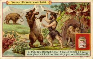 La période antédiluvienne, Carte Liebig - French School