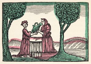 La Fée, Histoires ou Contes du Temps Passé racontés par Mère l