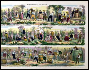 La Récolte du raisin, Imagerie de Pont-à-Mousson - French School