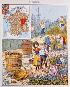 La récolte des raisins en Bourgogne, illustration d