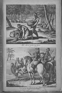 Les Maures récoltant des gommes et transportant les gommes au Sénégal, illustration de 