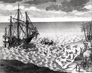 Le Pélican coulant près de la côte, de l
