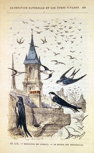Le retour des hirondelles, vers 1880
