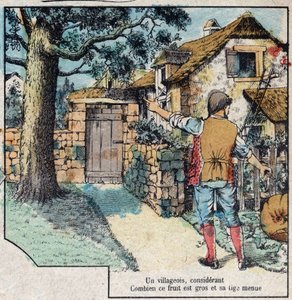 Le gland et la citrouille. Fables de Jean de La Fontaine (1621-95). Imagerie d