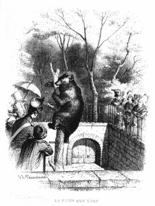La fosse aux ours du jardin des plantes à Paris - gravure