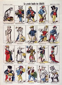 La grande famille des chats - Imagerie d