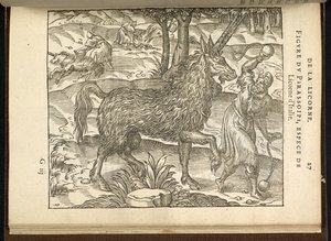 La chasse d