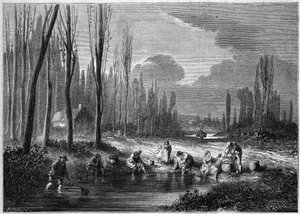La pêche aux sangsues dans les environs de Versailles