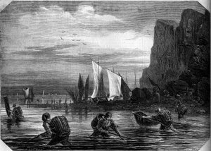 La pêche à la crevette aux environs du Havre, Seine-Maritime (76) - French School