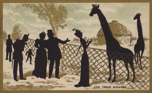 Les trois girafes