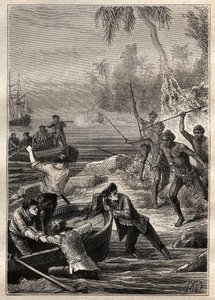 Ces choses étaient si proches... : Voyage du capitaine James Cook (1728-1779) en Nouvelle-Zélande en 1769 - les indigènes de Nouvelle-Zélande attaquent l