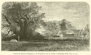 Tombes de mistress Livingstone et de Kirkpatrick sous un baobab, à Shoupanga House
