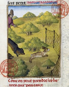 Piège pour lièvre et chiens de chasse - dans "Livre de chasse de Gaston Phoebus, Comte de Foix, Seigneur de Béarn" - French School