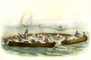 Pêche au thon ou madrague - Planche extraite de l