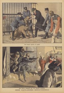 Deux nouvelles sensationnelles (lithographie couleur)
