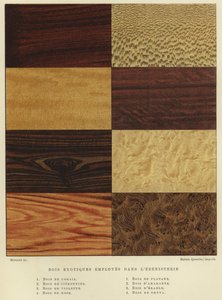 Types de bois exotiques utilisés en ébénisterie - French School