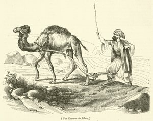 Une Charrue du Liban - French School