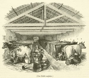 Une Etable anglaise (engraving)