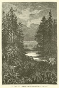 Une forêt aux premiers siècles de la période crétacée - French School