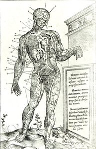 Système vasculaire selon Charles Etienne, de De dissectione partium corporis humani libri tres, 1545 - French School
