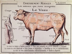 Veau : diagramme représentant les différentes coupes de viande