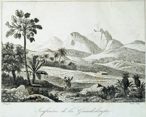 Vue d
