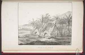 Vue des îles Sandwich, de 