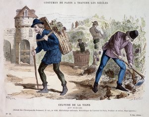 Culture de la vigne au 15e siècle - dans Costume de Paris à travers les siècles