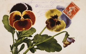 Carte postale française vintage avec décorations florales - French School