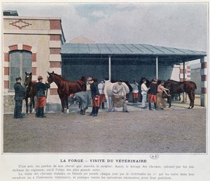 Visite du vétérinaire de l