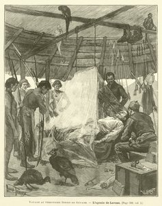 Voyage Au Territoire Indien De Guyane - French School