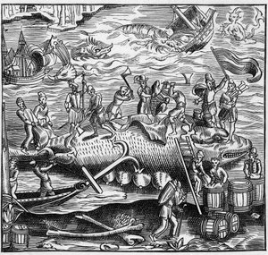 Pêche à la baleine sur la côte atlantique française au Moyen Âge. Gravure dans "La Marine et les colonies: commerce" - French School