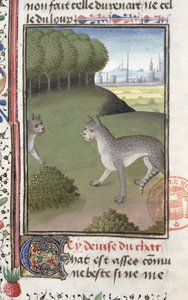 Chats sauvages, du Livre de la Chasse par Gaston Phébus de Foix - French School