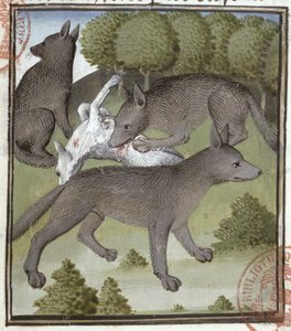 Loups, du Livre de la Chasse par Gaston Phébus