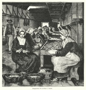 Femmes préparant des sardines - French School