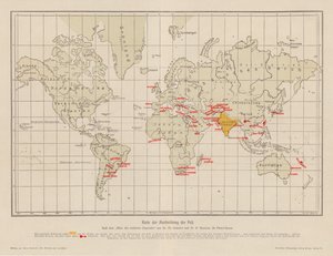 Carte du monde montrant la propagation de la peste - French School