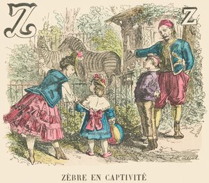 Z : Zèbre en captivité - French School