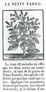 Le Petit Tabac, illustration de Discours du Tabac par Jean Le Royer de Prade, 1671 - French School
