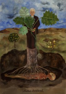 Le rapport de Luther Burbank - Frida Kahlo