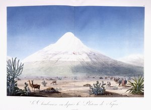 Le Chimborazo vu depuis le Plateau de Tapia