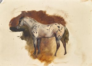 Cheval tacheté - Friedrich August Mathias Gauermann