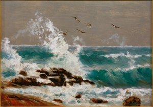 Vagues sur la côte d