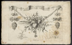 Différents nouveaux festons de fleurs et de fruits - Friedrich Jacob Morisson