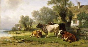 Bétail dans une cour de ferme le long d